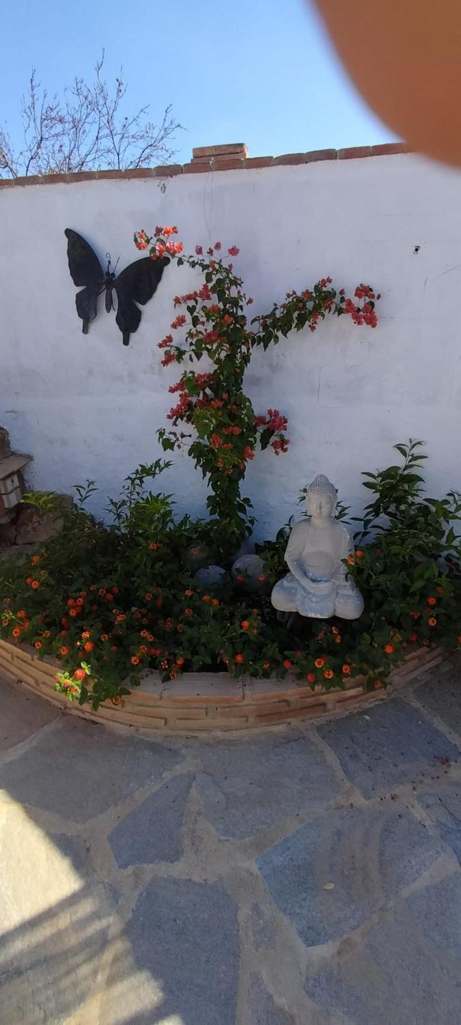 Bed and Breakfast Casa Ceratonia Alora Esterno foto